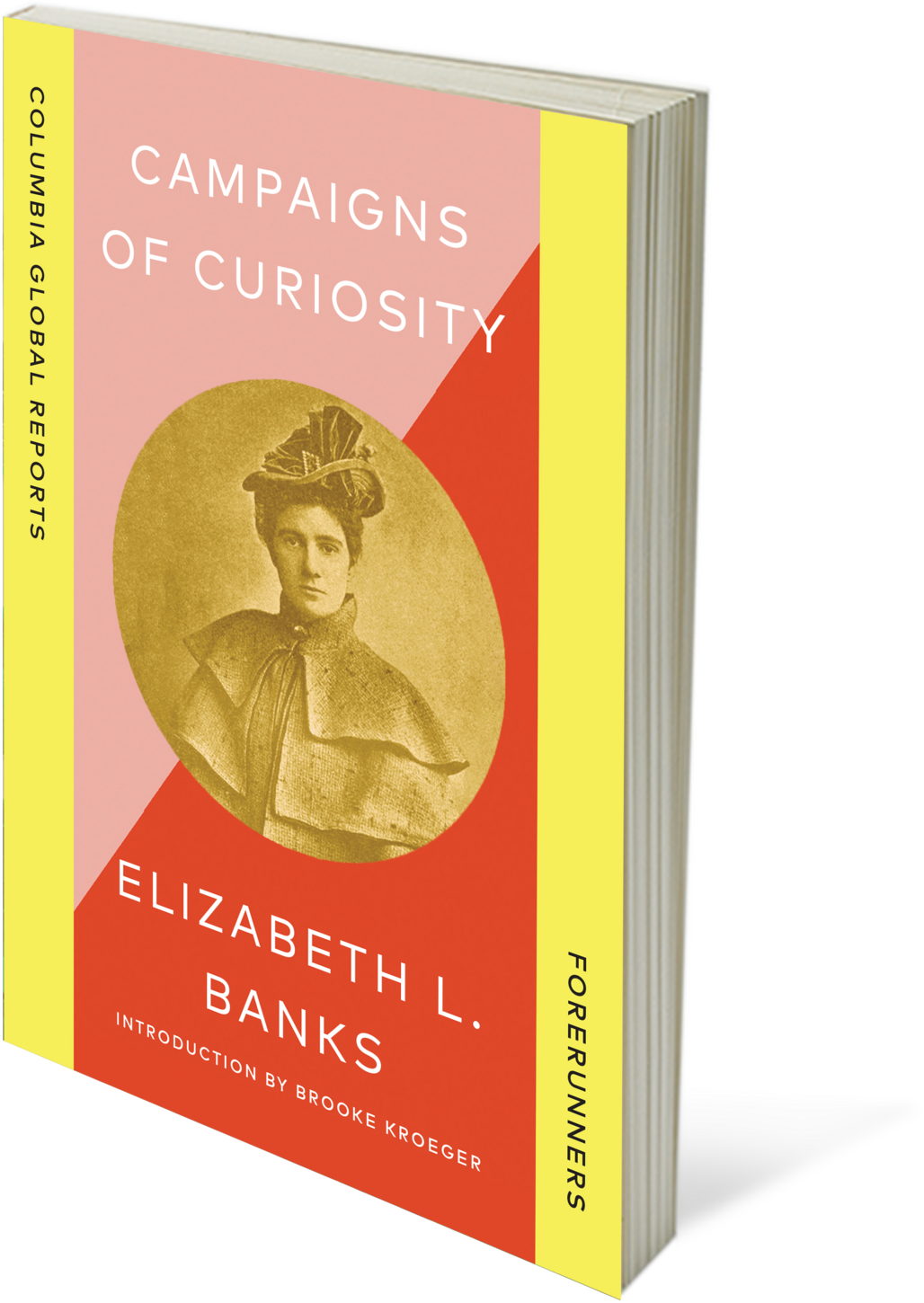 Campaigns of Curiosity